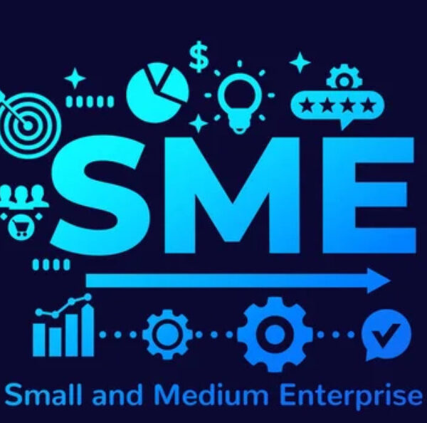 small and medium sized enterprises